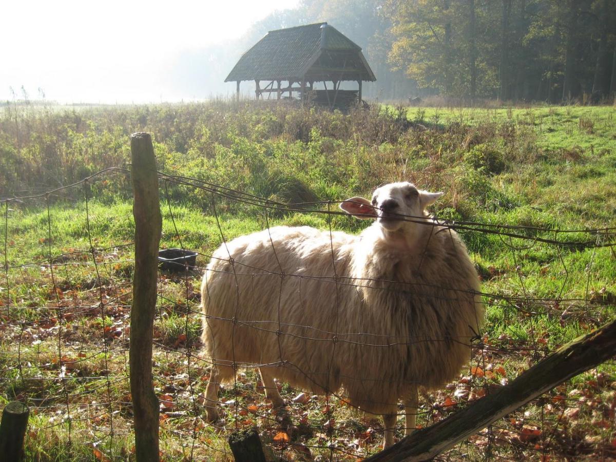 The Farmer's Daughter